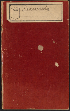 Farlow Papers